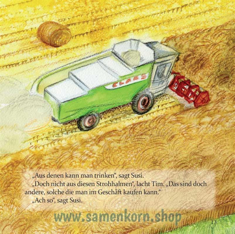 Ein Spätsommertag / Heft 20