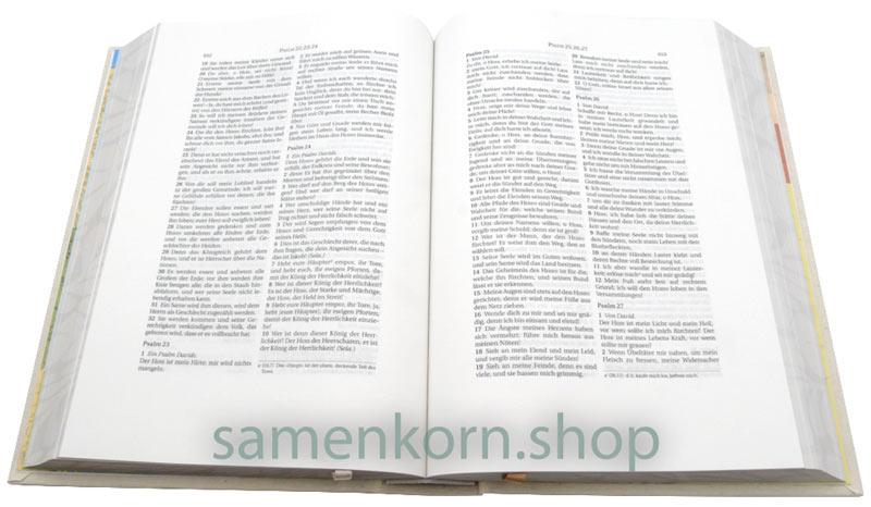 Schlachter 2000 Schreibrandausgabe (Hardcover, Naturleinen)