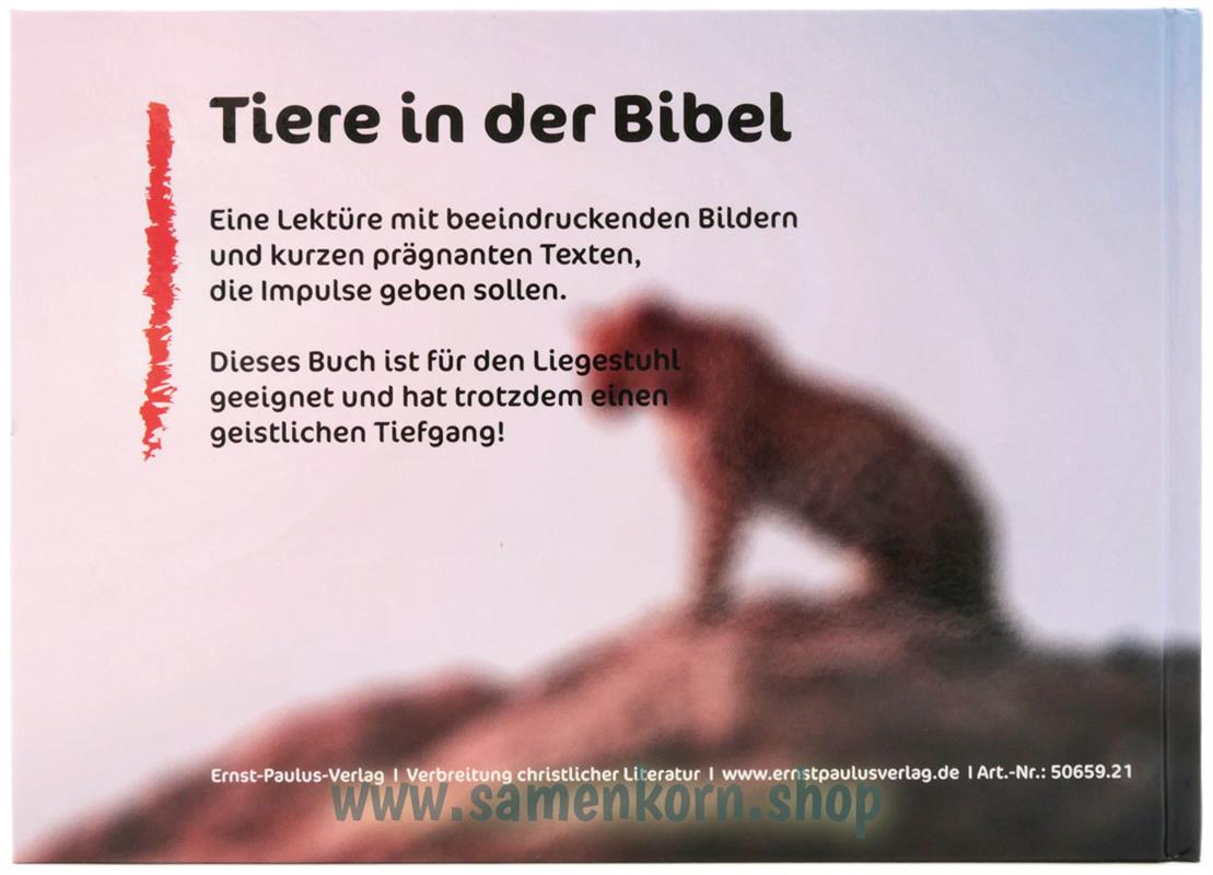 Der uns mehr lehrt als die Tiere der Erde / Buch