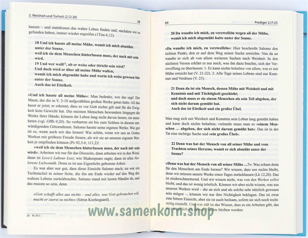 Kommentar zum Buch Prediger / Buch