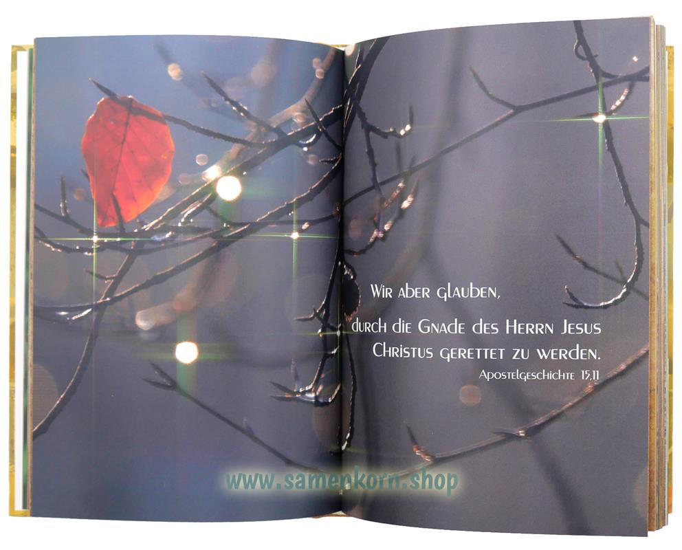 Glaube im Alltag / Buch