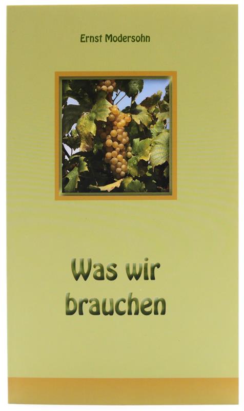 Was wir brauchen / Buch