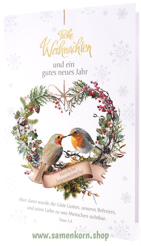 Faltkarte "Frohe Weihnachten" Titus 3,4