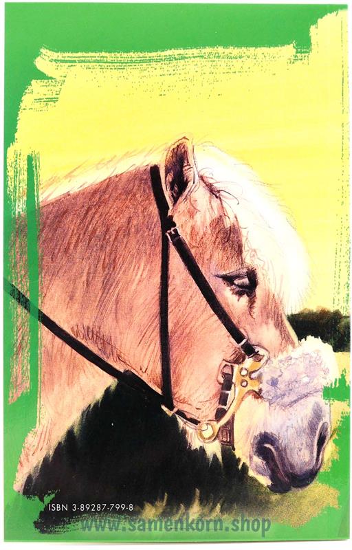 Carmen lacht wieder / Buch