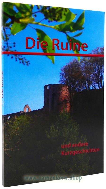 Die Ruine / Buch
