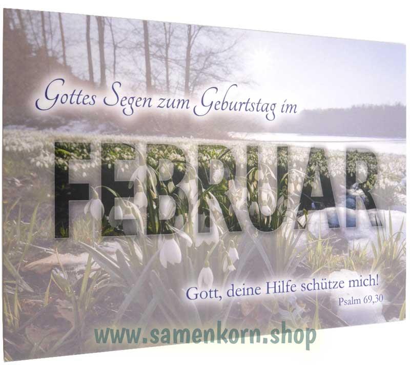 Postkarte "Gottes Segen zum Geburtstag im Februar"