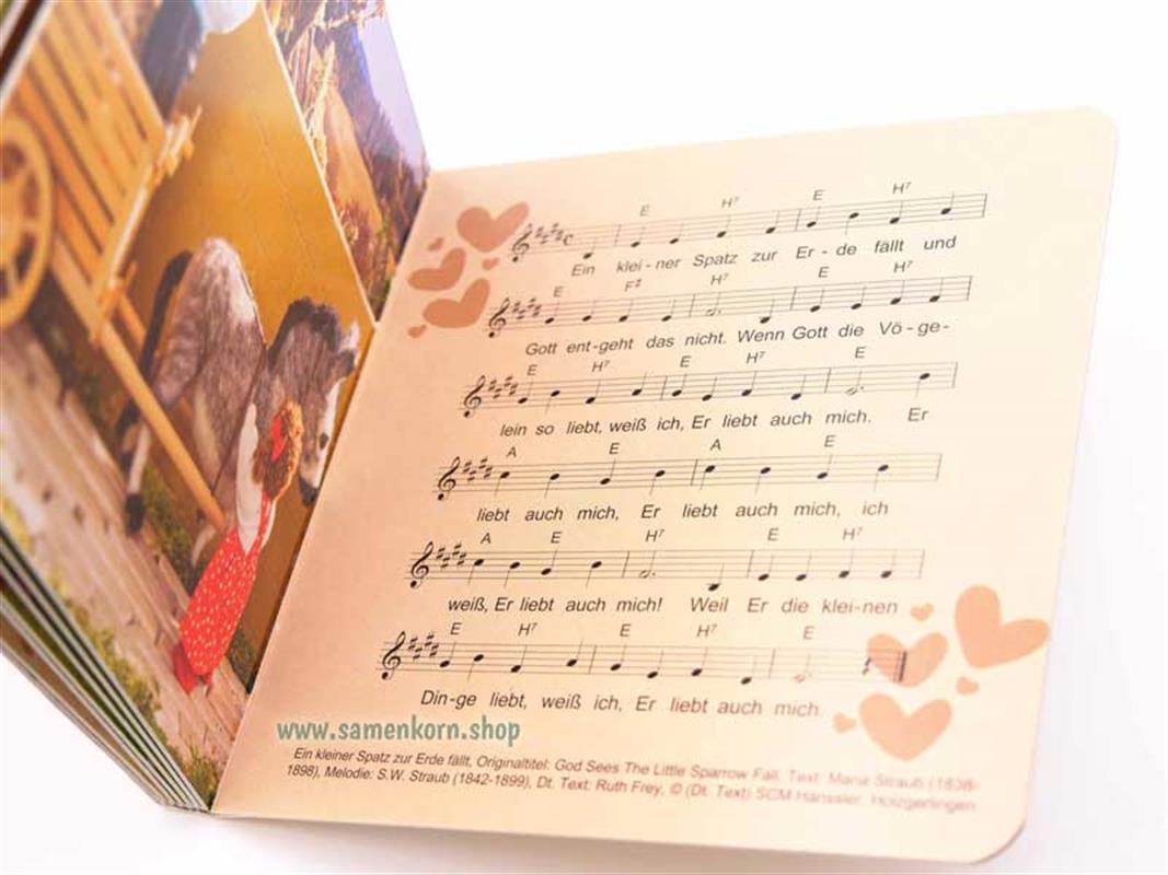 Ein kleiner Spatz zur Erde fällt / Pappebuch