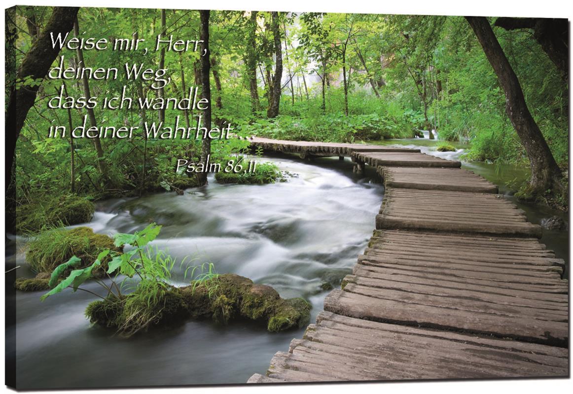 Bild "Brücke im Wald"