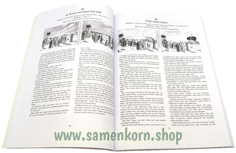 Mit Flanellbildern durch die Bibel / Buch
