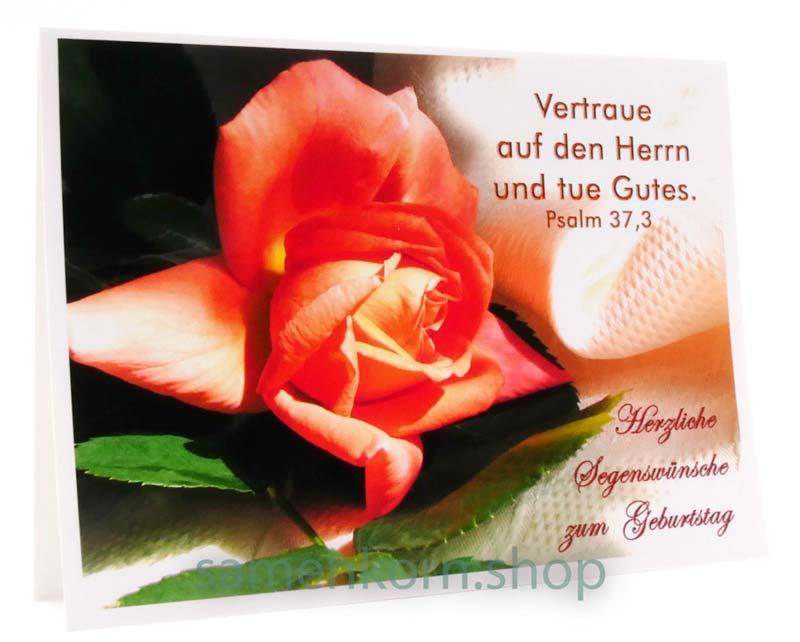 Doppelkarten zum Geburtstag / Set "Rosen 2" 5 Karten