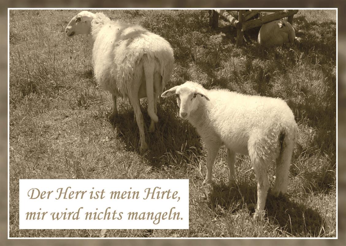 Postkarte "Der Herr ist mein Hirte ..."