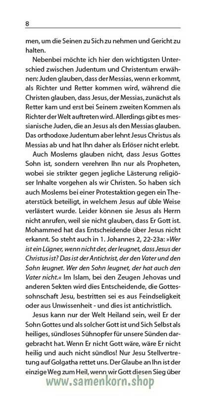 Der Christ und der Sieg, Band 17  Reihe Orientierung / Heft