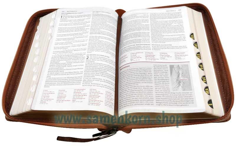 Luther21 F. C. Thompson Studienausgabe, Kunstleder, löwenbraun, GS, GR, RV / Buch