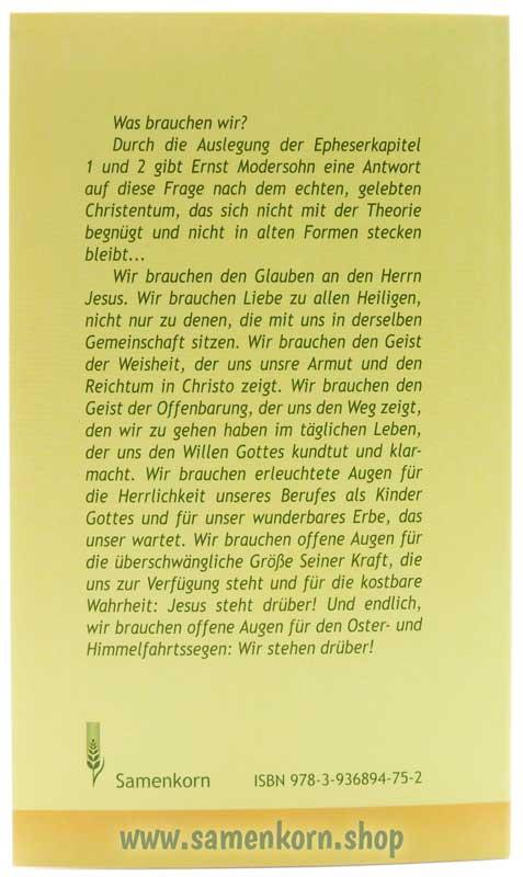 Was wir brauchen / Buch