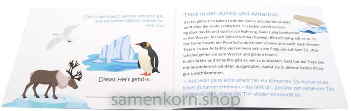 Mini-Rätselheft - Tiere in der Arktis und Antarktis  / Heft