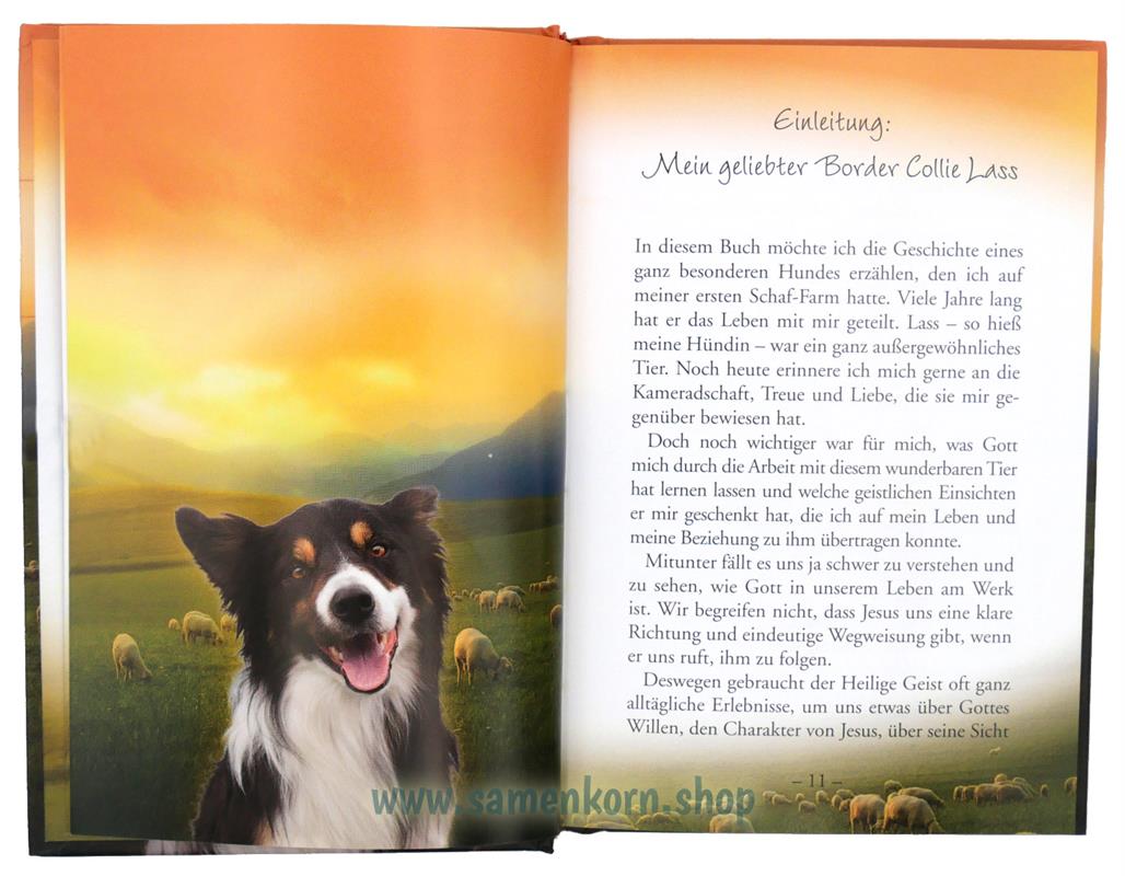Was mein Hirtenhund mich lehrte / Buch