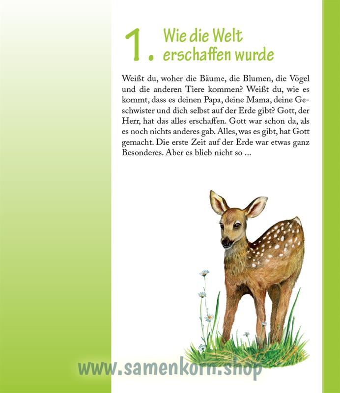 Entdecke die Bibel - AT / Kinderbibel