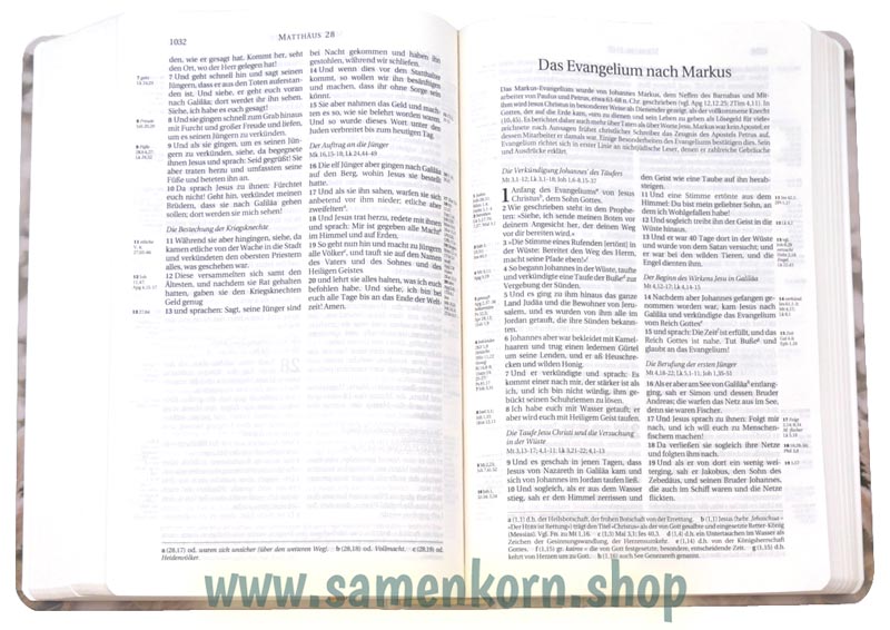 Schlachter 2000 - TA, Pampasgras / Buch