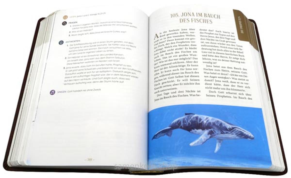 Andachten für die ganze Familie / Buch