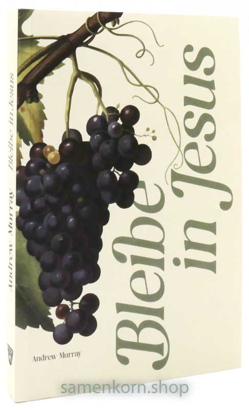Bleibe in Jesus / Buch