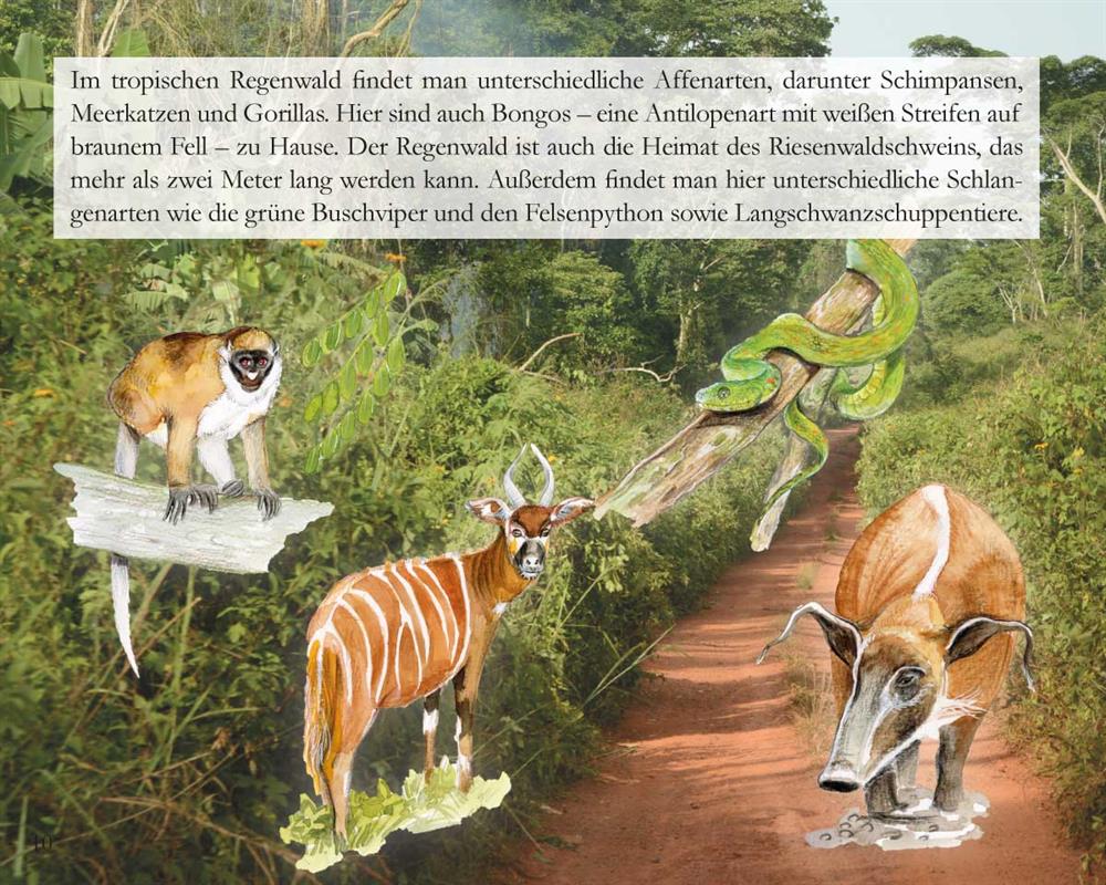 Der Fall vom Mangobaum - Kinder in Kamerun / Heft