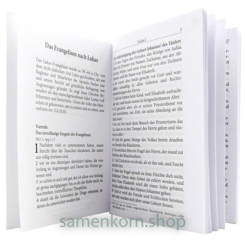 Das Evangelium nach Lukas DIN A7/ Buch