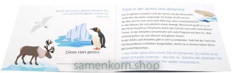 Mini-Rätselheft - Tiere in der Arktis und Antarktis  / Heft