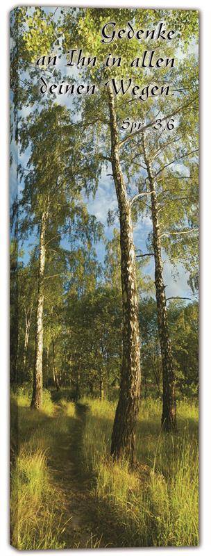 Bild "Der Pfad"