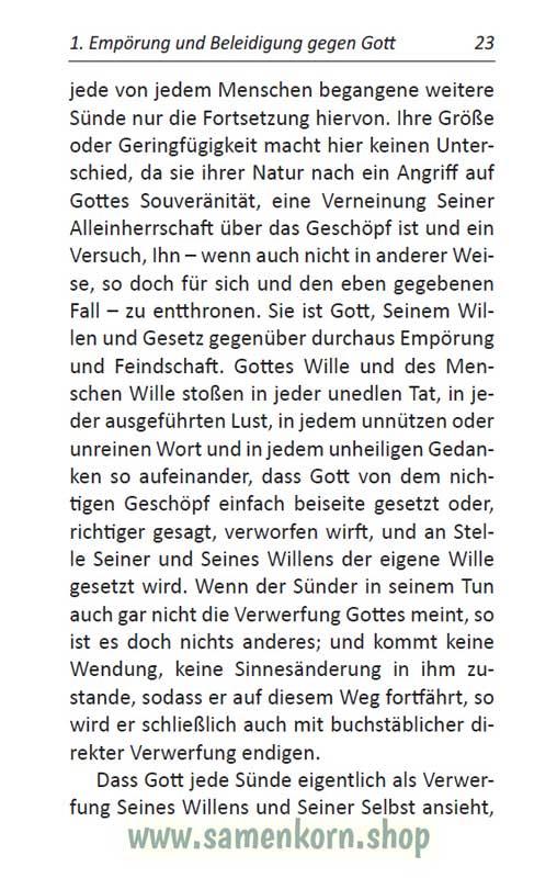 Die Sünde, das Übel aller Übel in dieser Welt / Buch