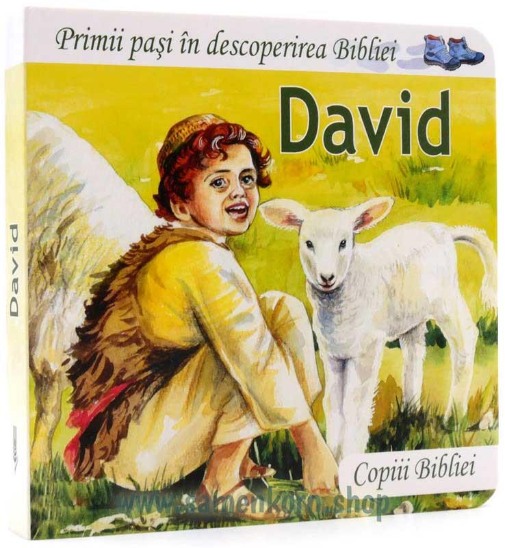 David / Pappbuch Rumänisch