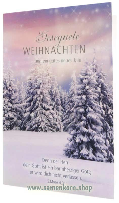 Faltkarte "Gesegnete Weihnachten" 5.Mose 4,31