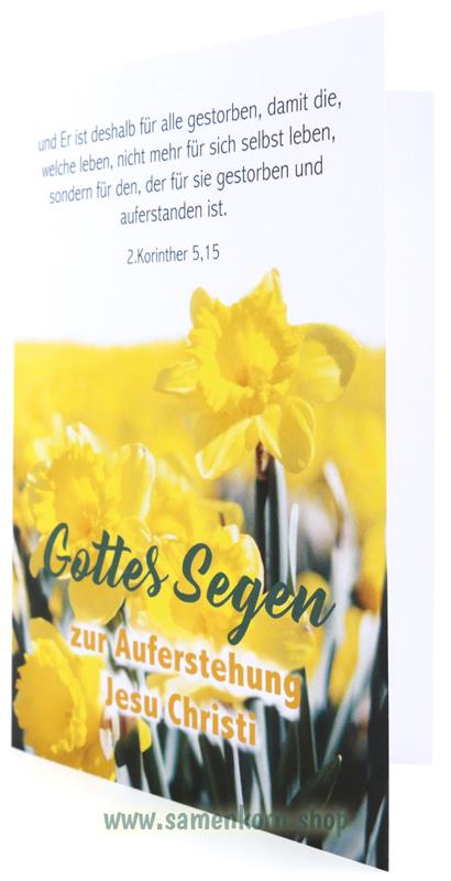 Gottes Segen zur Auferstehung / 2. Kor.5,15