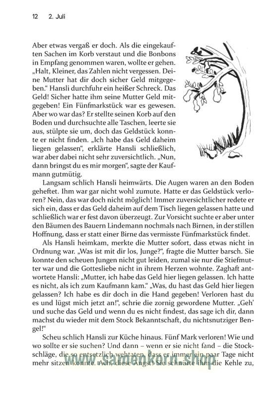 Der Missionsstorch / Buch