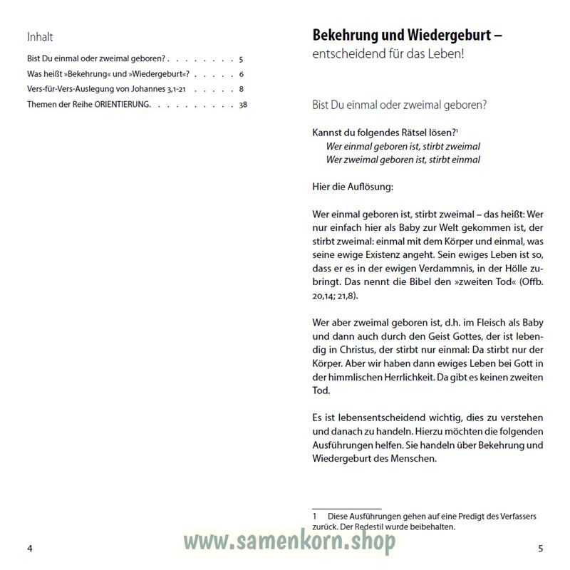 Bekehrung und Wiedergeburt, Band 38  Reihe Orientierung / Heft