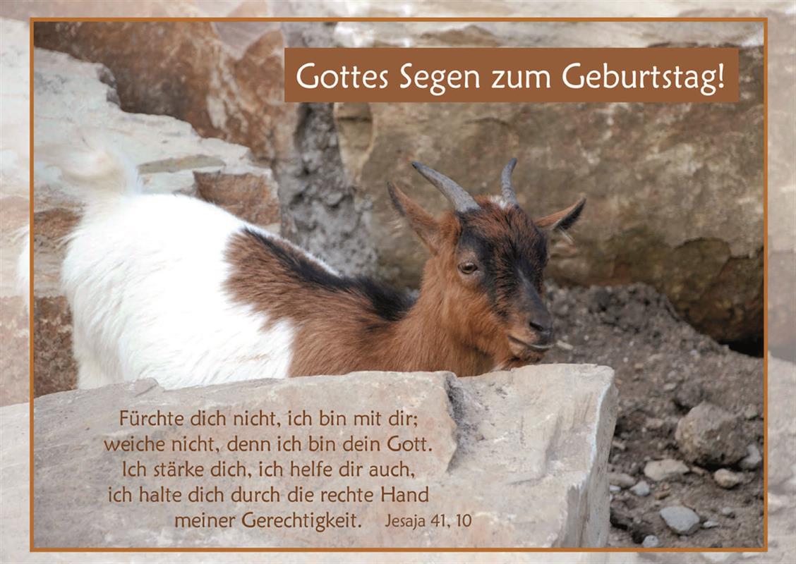 Postkarte zum Geburtstag / Jesaja 41,10