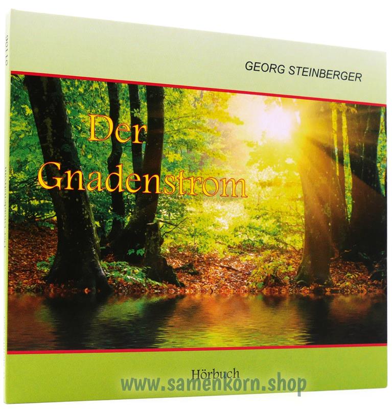 Der Gnadenstrom / MP3-Hörbuch