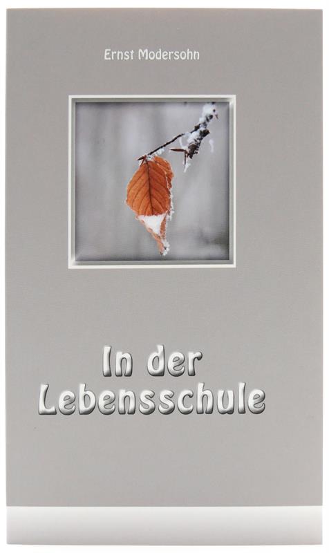 In der Lebensschule / Buch