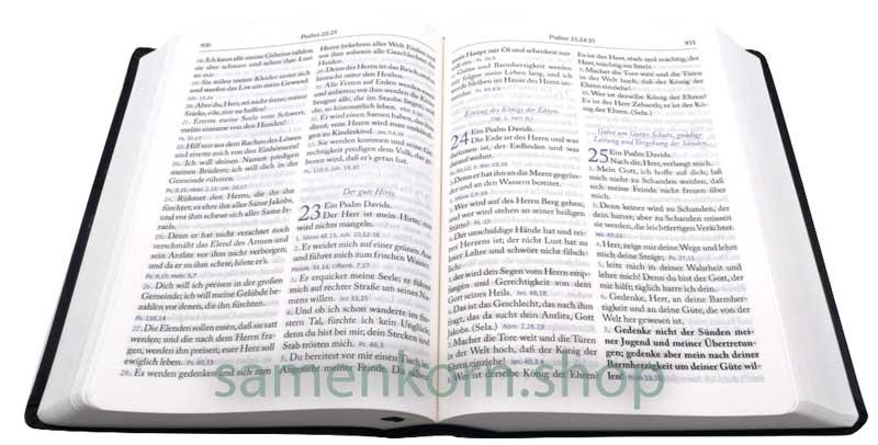 Die Bibel Martin Luther 1912 - Großdruck