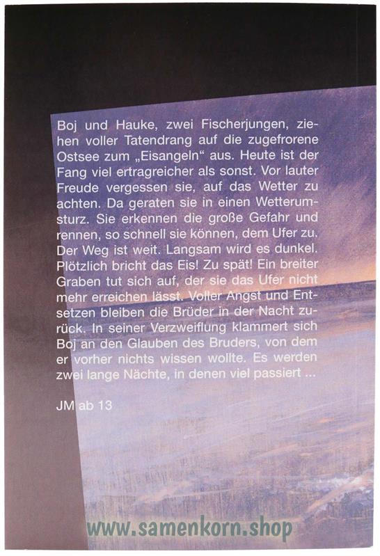SOS zwei Jungen in Not / Buch
