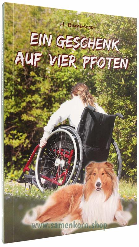 Ein Geschenk auf vier Pfoten / Buch