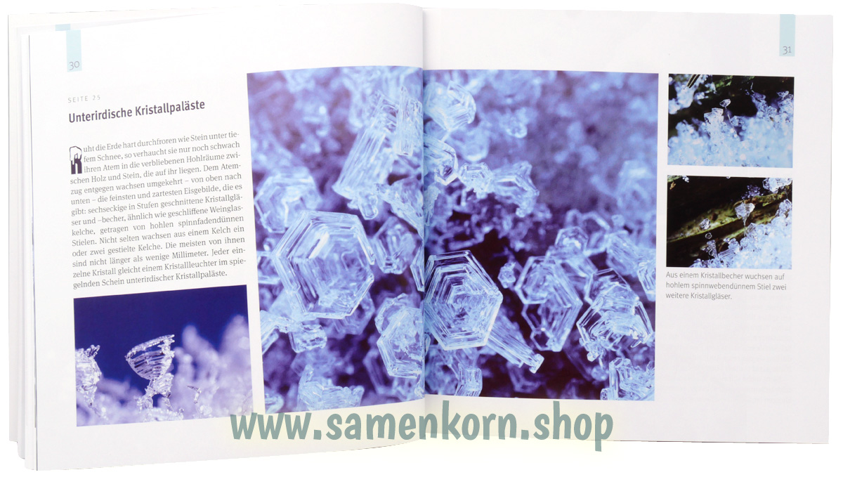 Einzigartige Kunstformen aus Schnee, Eis und Licht / Buch