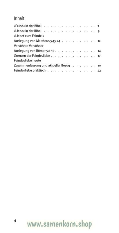 Feindesliebe, Band 29 Reihe Orientierung / Heft