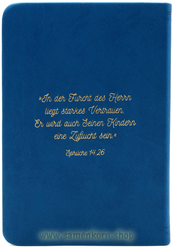 Biblische Erziehung/ Buch