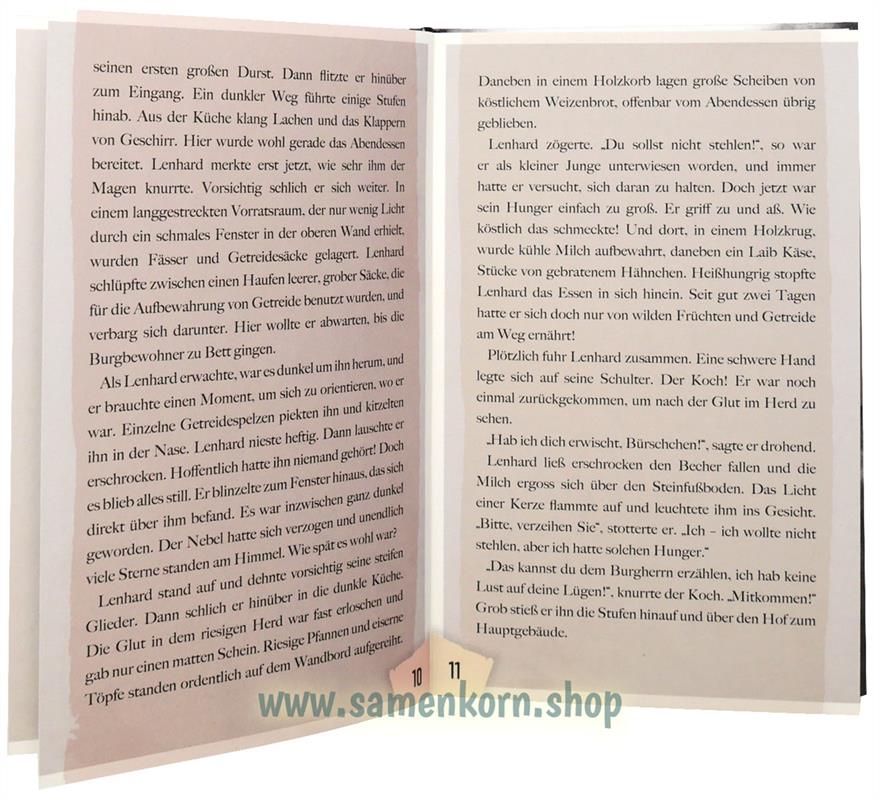 Lenhard - Das Rätsel von Rabeneck / Buch