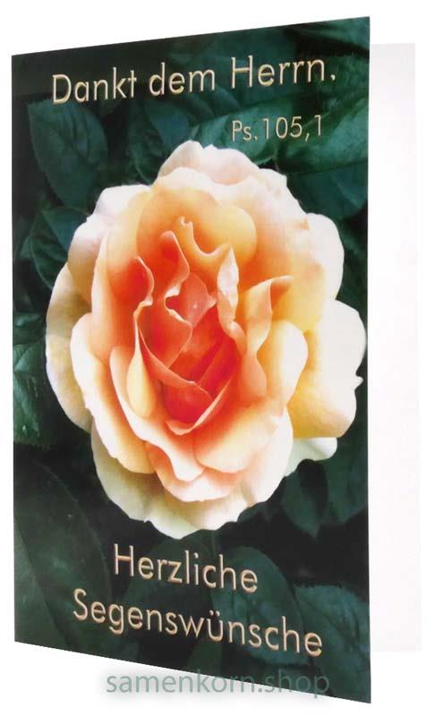 Doppelkarten zum Geburtstag / Set "Rosen 1" 5 Karten