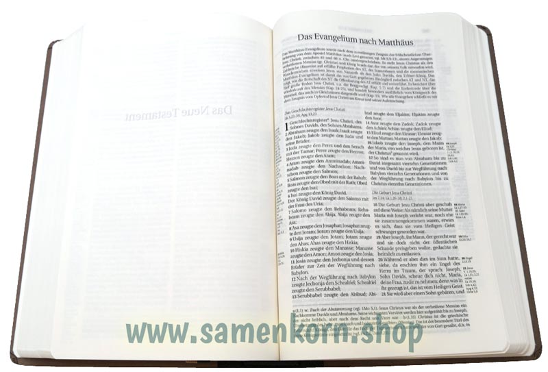 Schlachter 2000 - TA, halbleinen, sandfarben / Buch