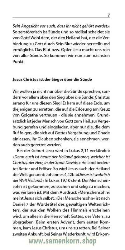 Der Christ und der Sieg, Band 17  Reihe Orientierung / Heft