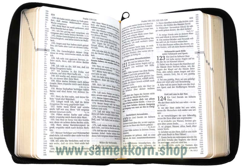 Die Bibel Luther 1912 Leder TA  mit Apokryphen/ Buch