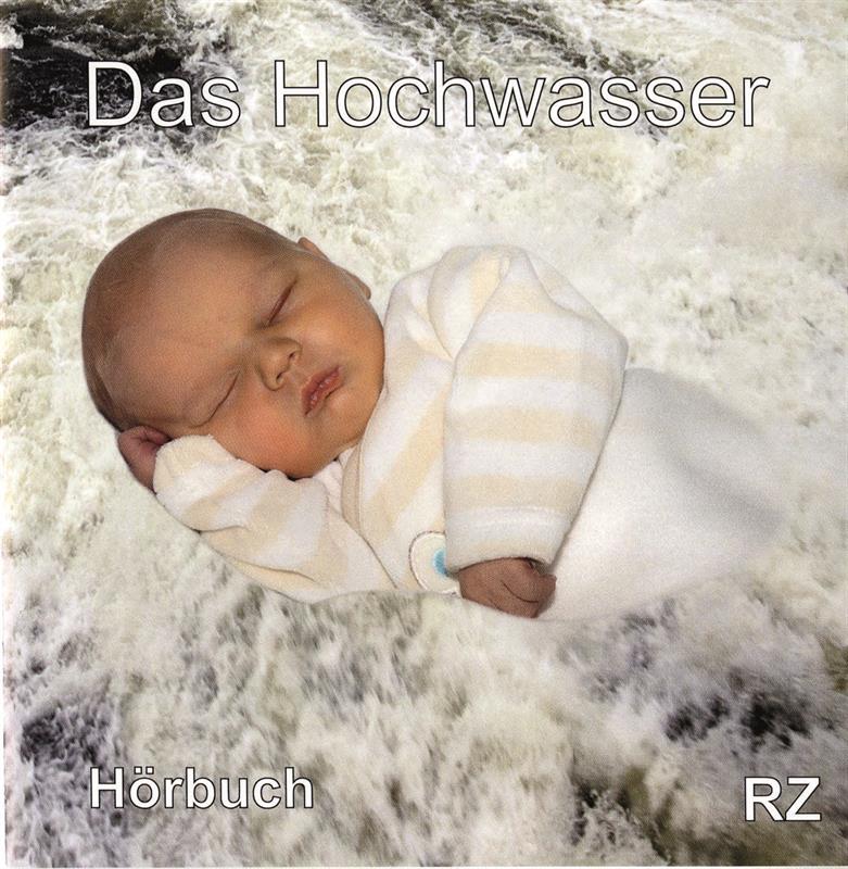 Das Hochwasser / CD- Hörbuch 