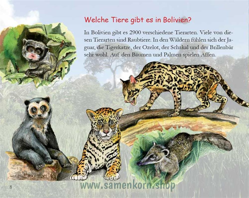 Ein liebender Vater - Kinder in Bolivien / Heft